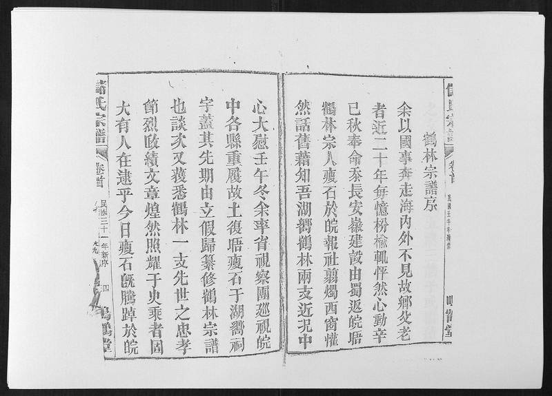 族谱预览
