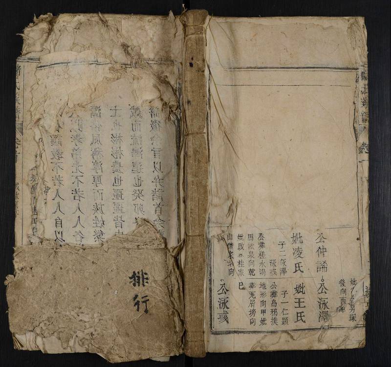 族谱预览