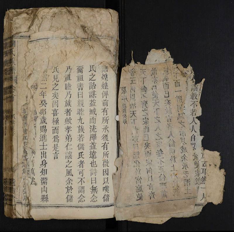 族谱预览