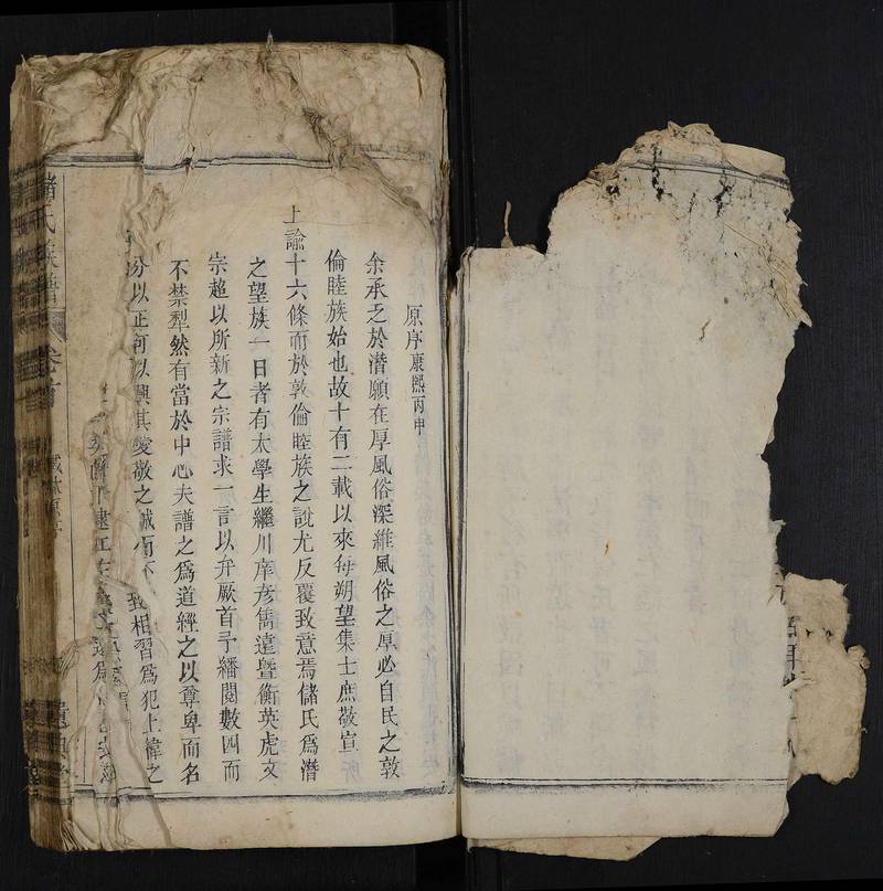 族谱预览