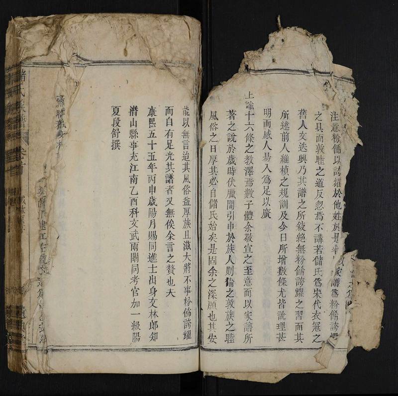 族谱预览
