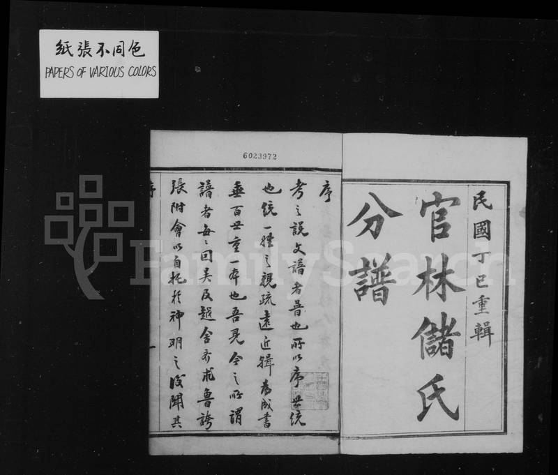 族谱预览