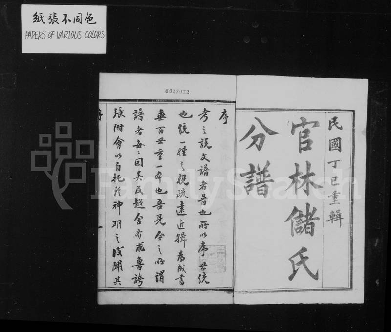 族谱预览