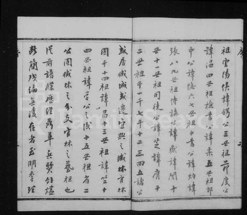 族谱预览