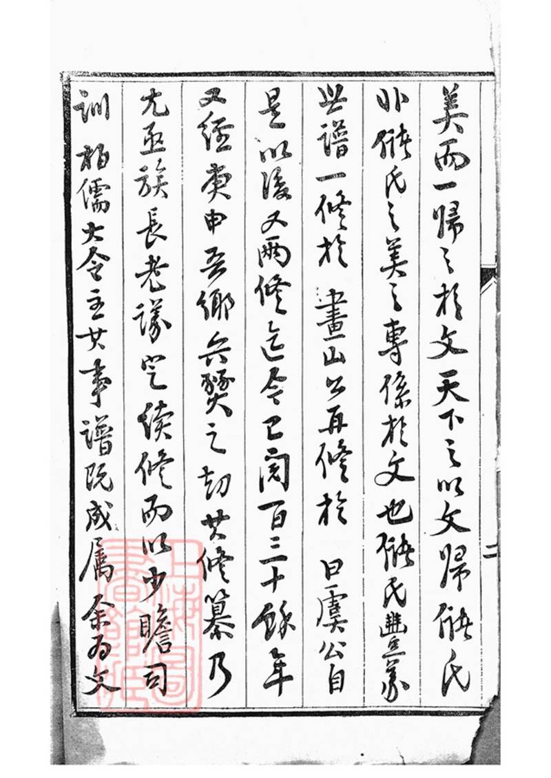 族谱预览