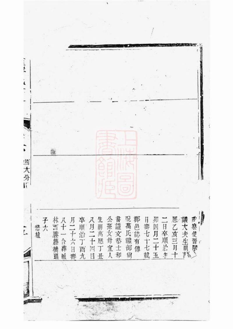 族谱预览