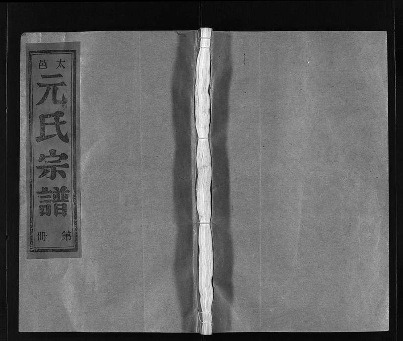族谱预览