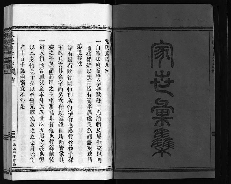 族谱预览