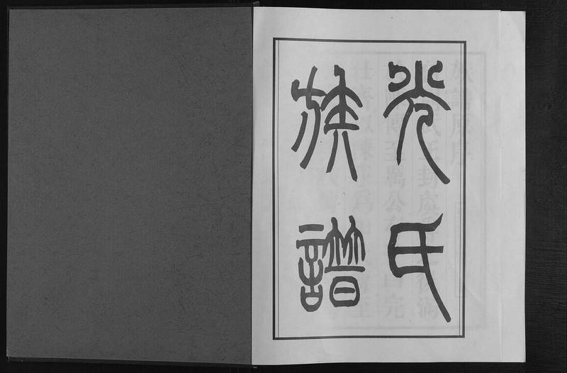 族谱预览