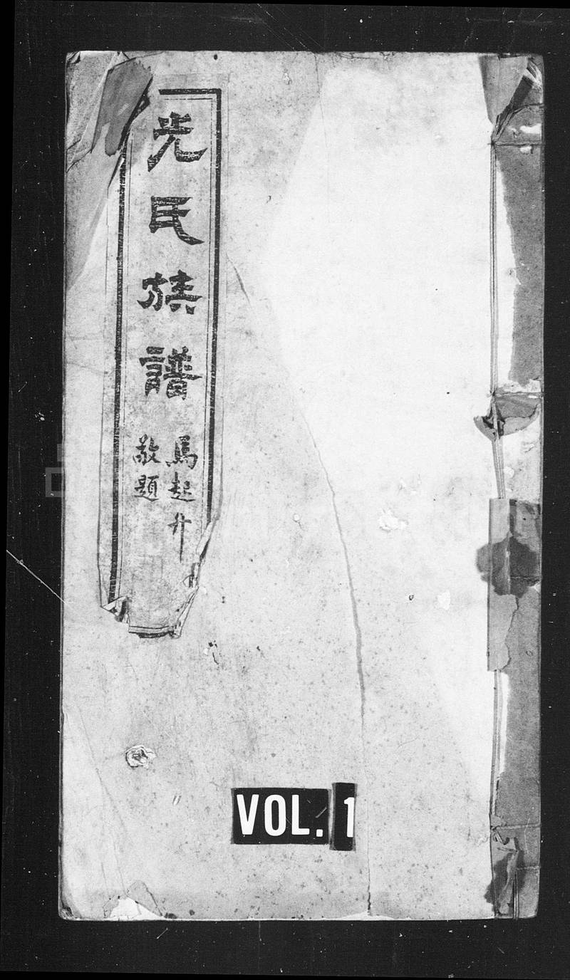 族谱预览