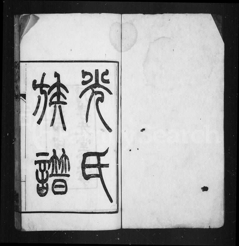 族谱预览