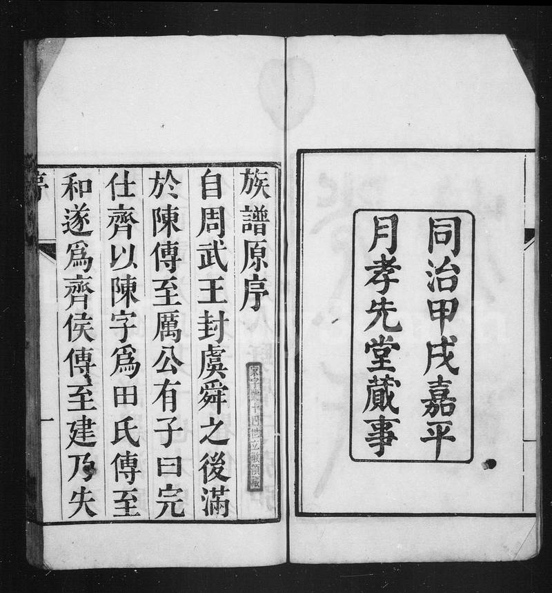 族谱预览