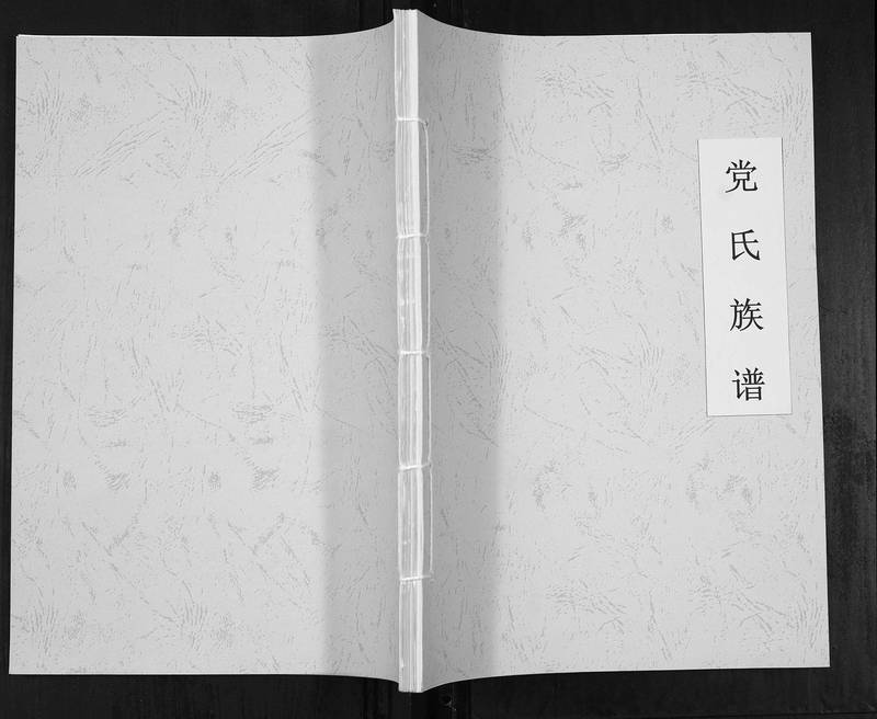 族谱预览