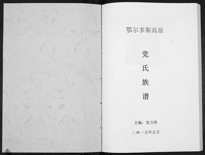 族谱预览