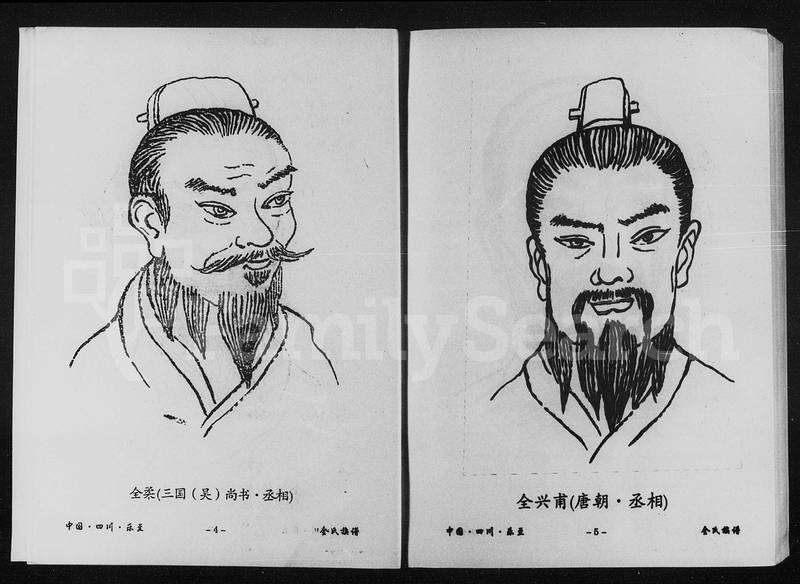 族谱预览
