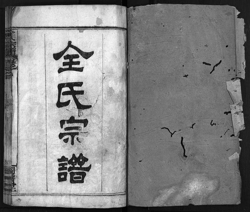 族谱预览