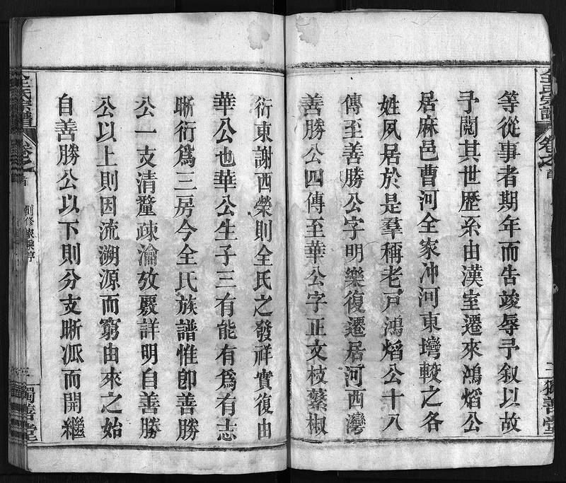 族谱预览