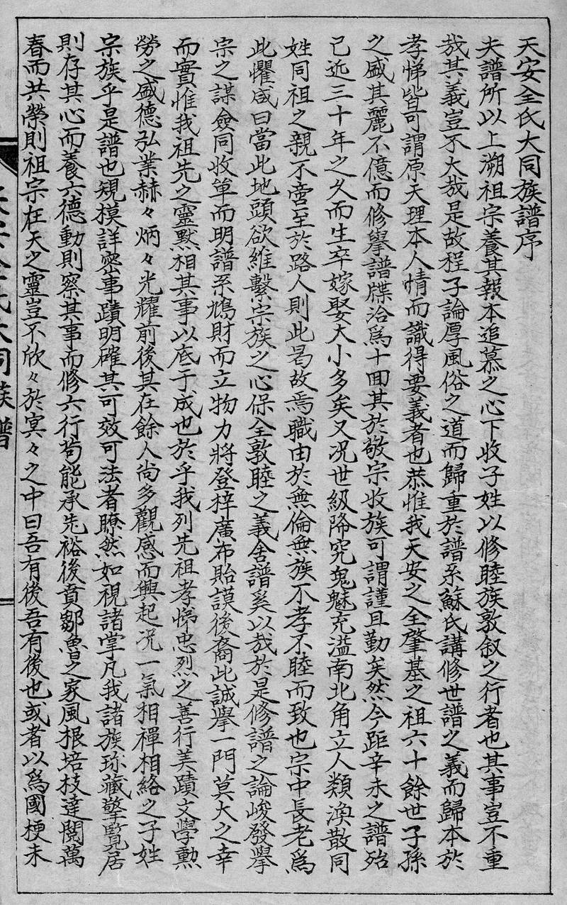 族谱预览