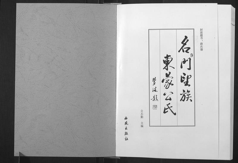 族谱预览