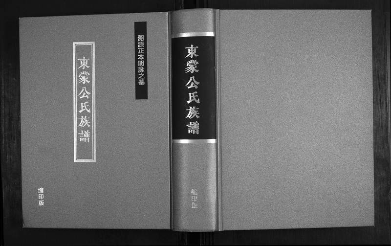 族谱预览