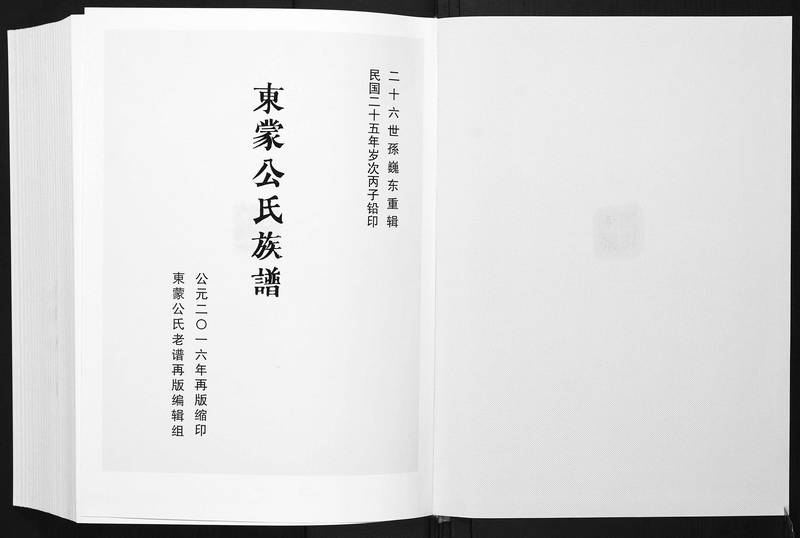 族谱预览