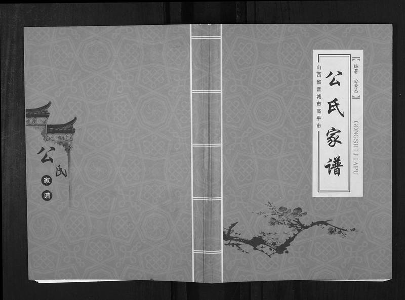 族谱预览