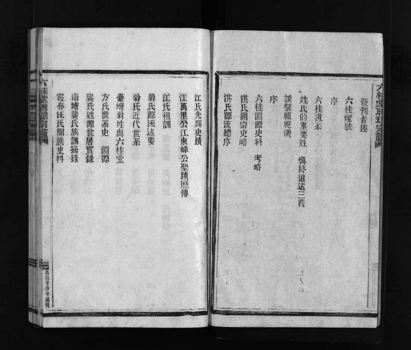 族谱预览