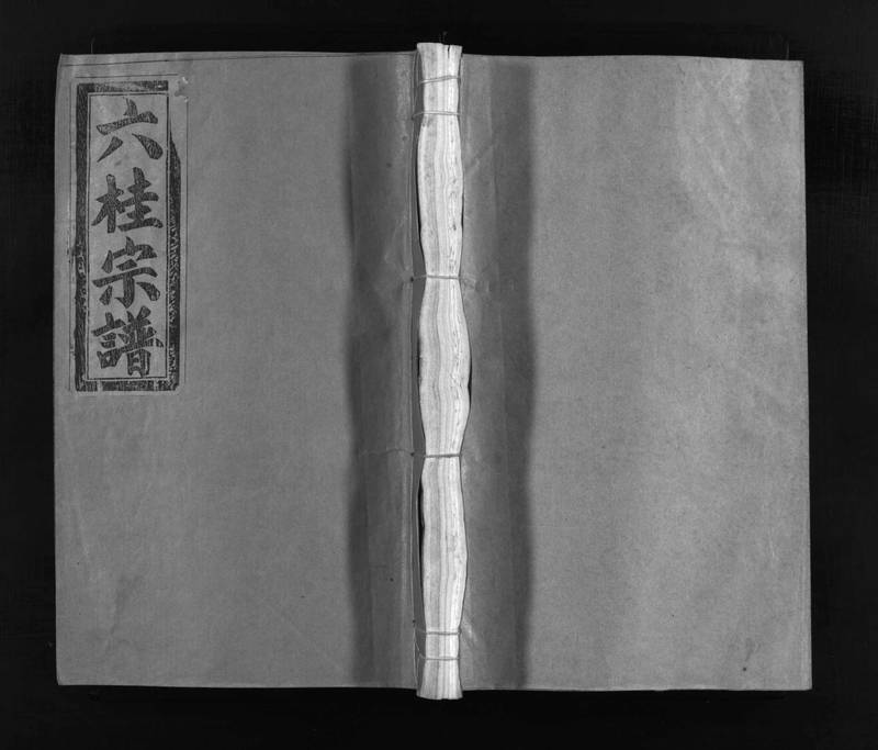 族谱预览