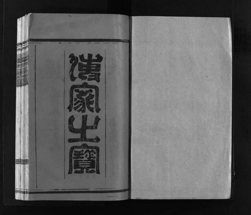 族谱预览
