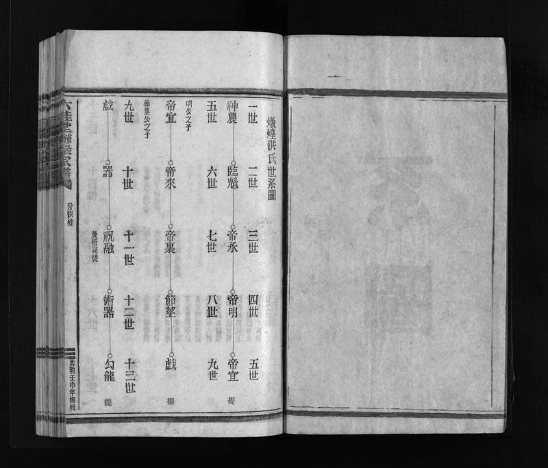 族谱预览