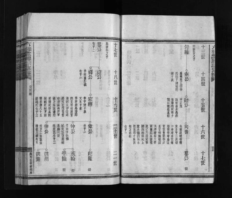 族谱预览