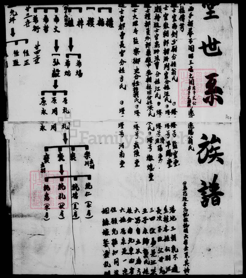族谱预览