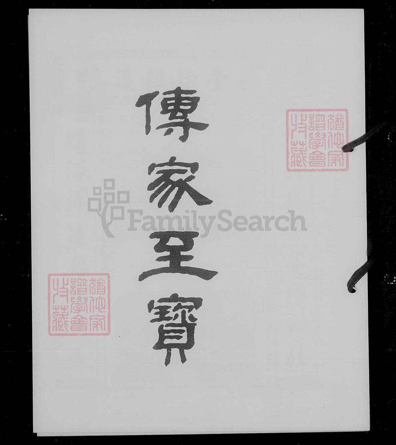 族谱预览