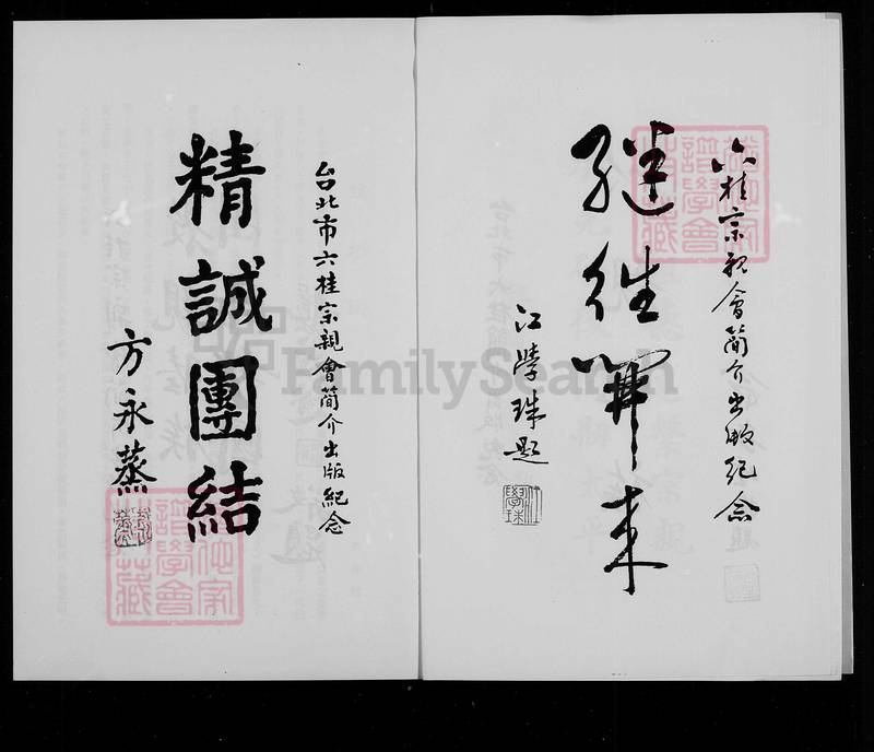 族谱预览