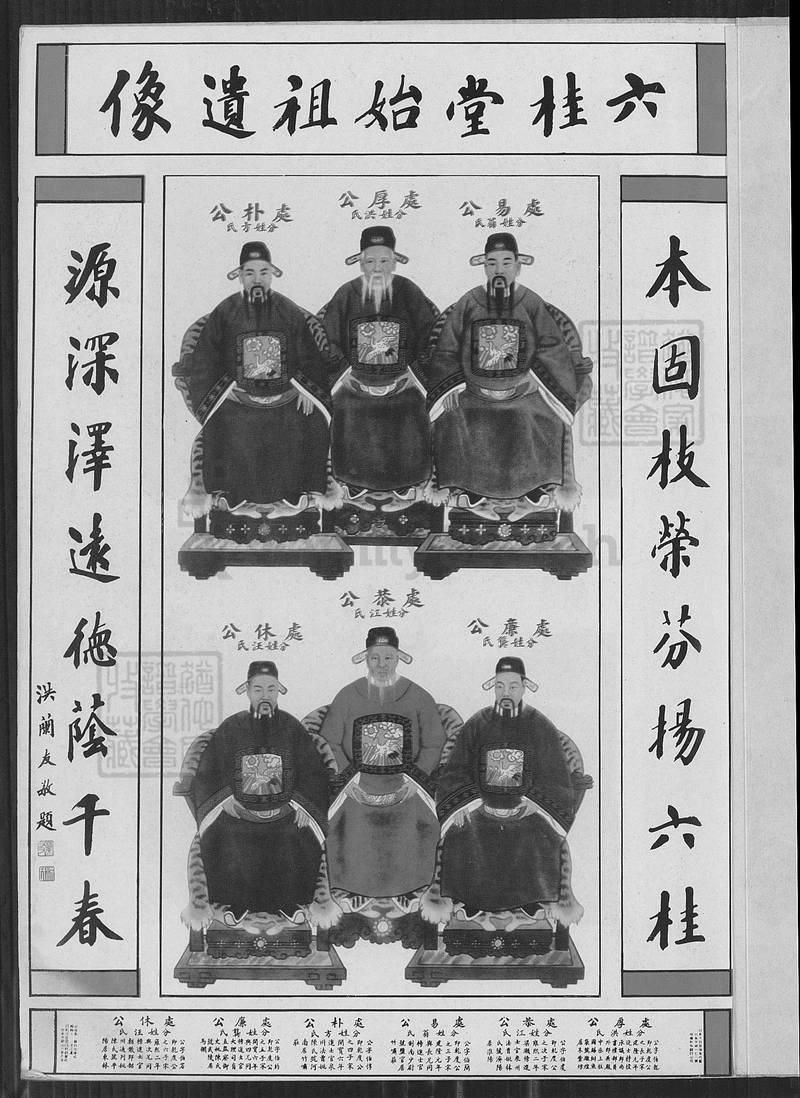 族谱预览