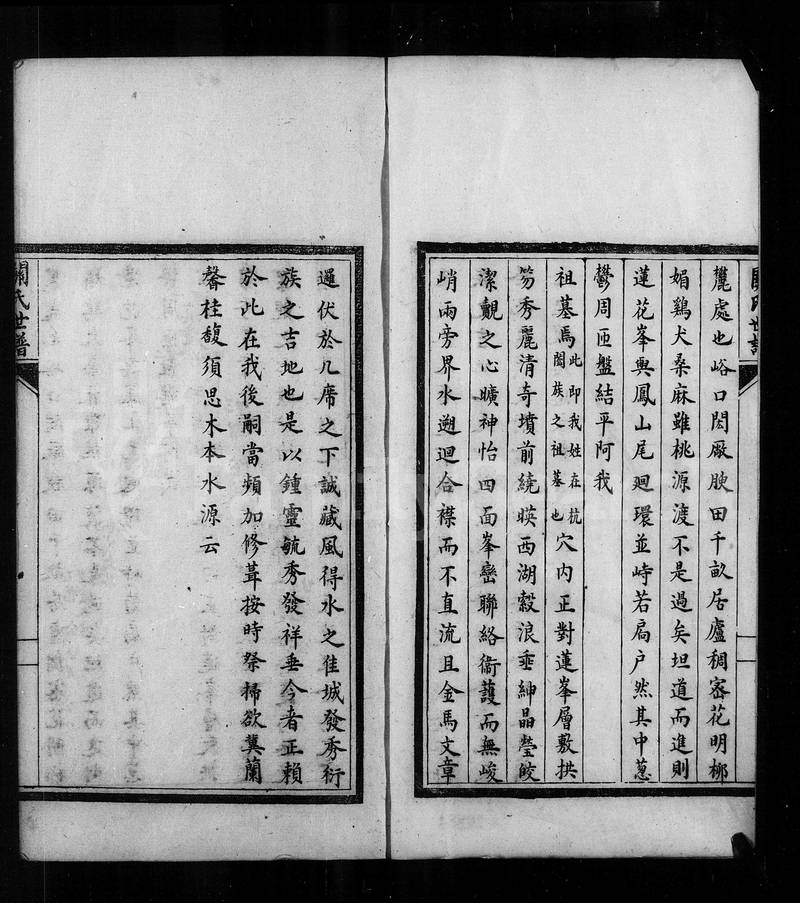 族谱预览
