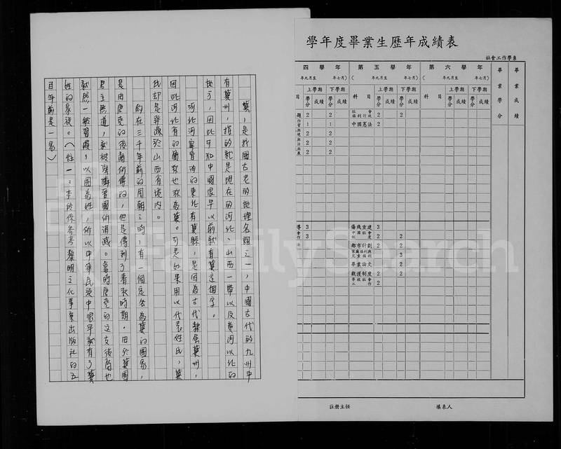 族谱预览