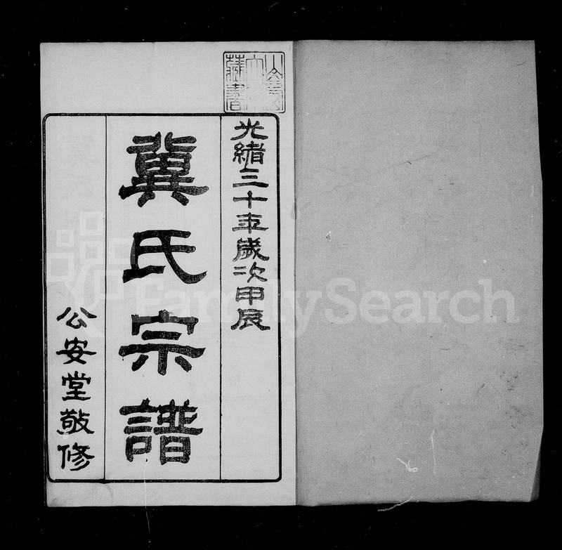 族谱预览