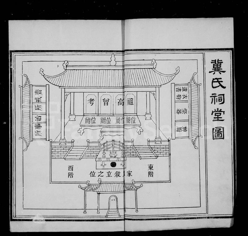 族谱预览