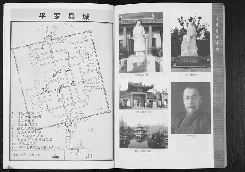 族谱预览