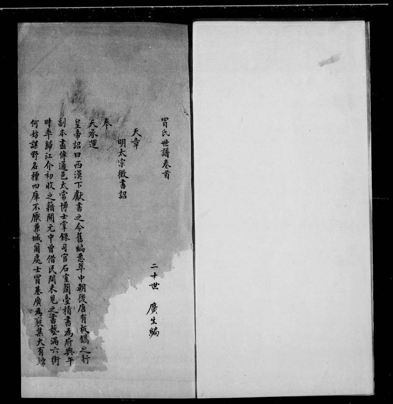 族谱预览
