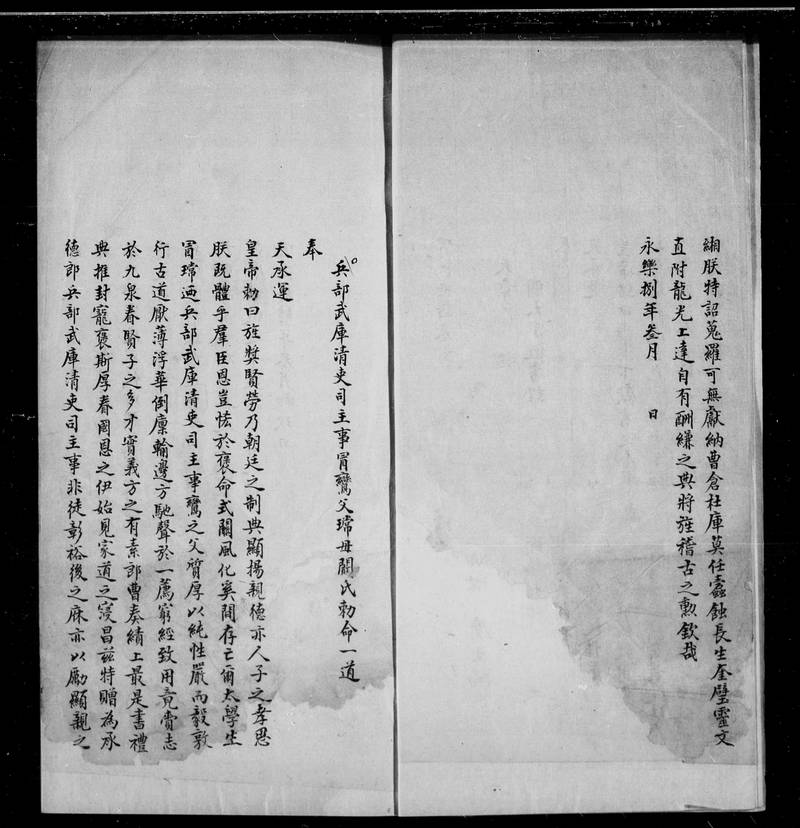 族谱预览