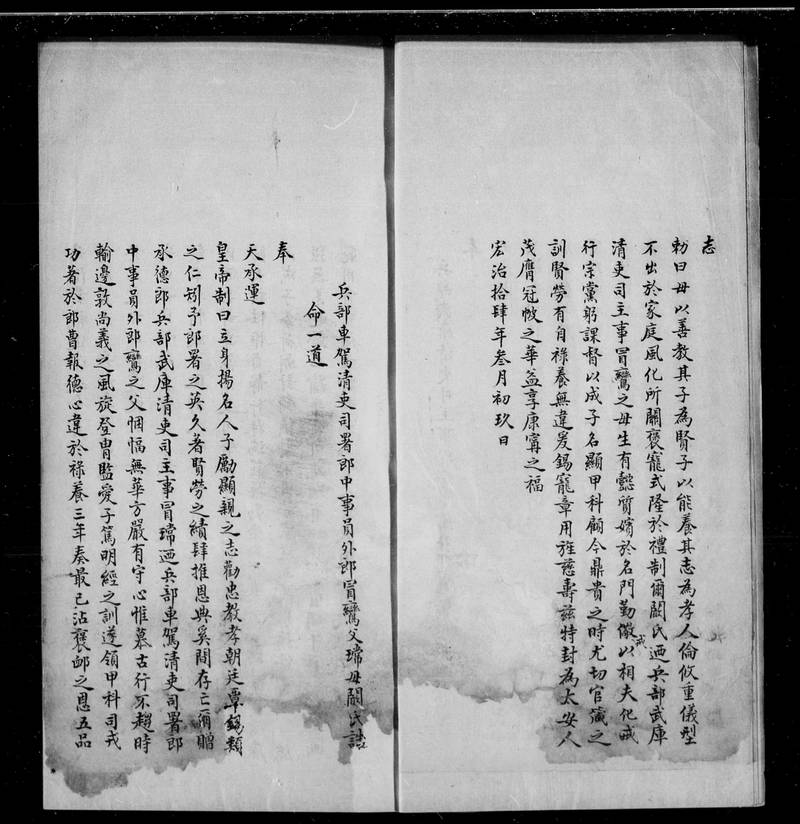 族谱预览
