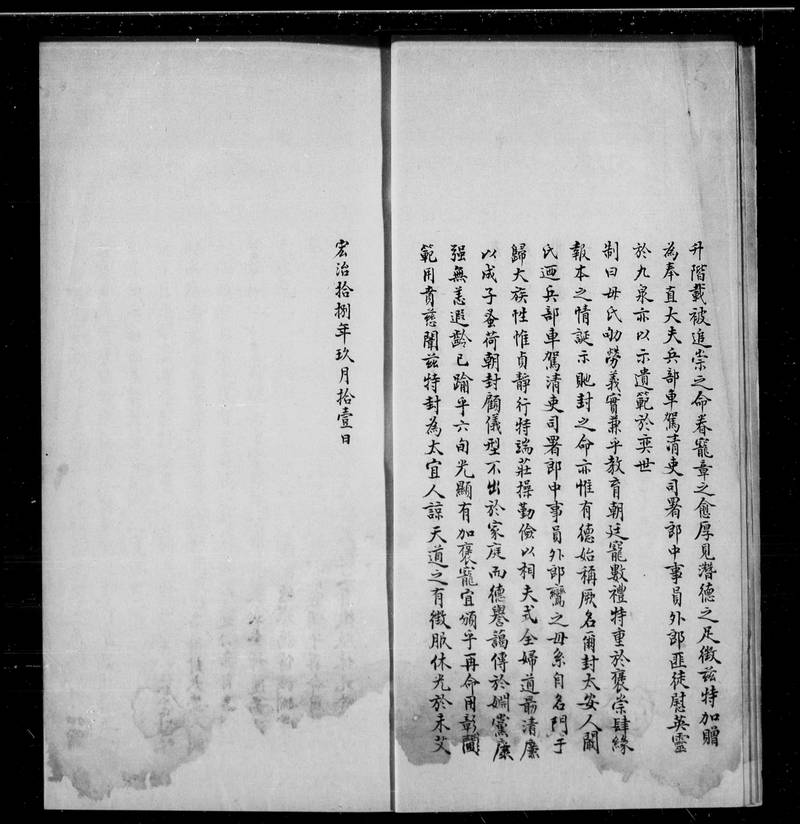 族谱预览