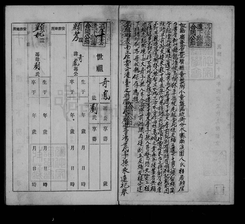 族谱预览