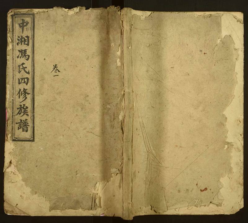 族谱预览