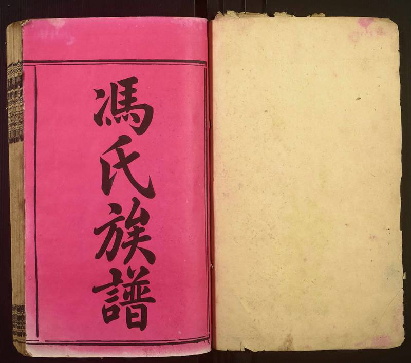 族谱预览