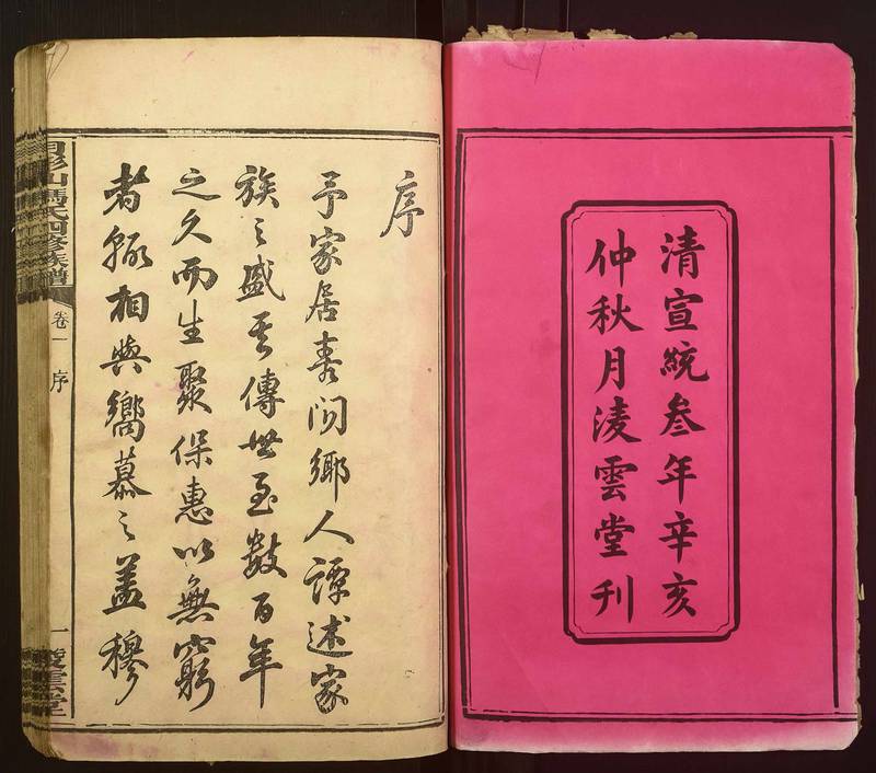 族谱预览