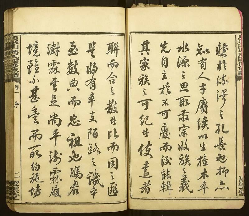 族谱预览