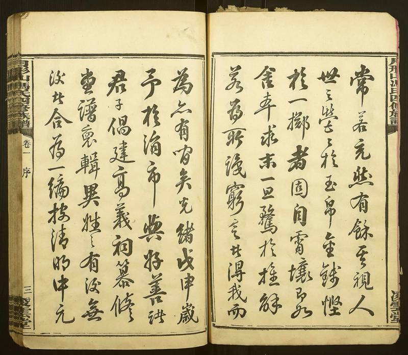 族谱预览